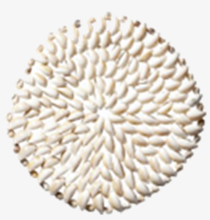 Table Mat Sea Shells White - Ofra, transparent png #8385395
