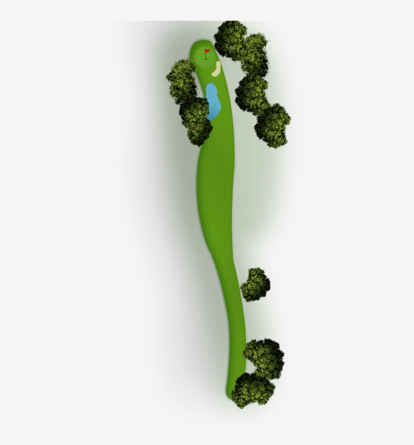 Map-12 - Hornwort, transparent png #8386085