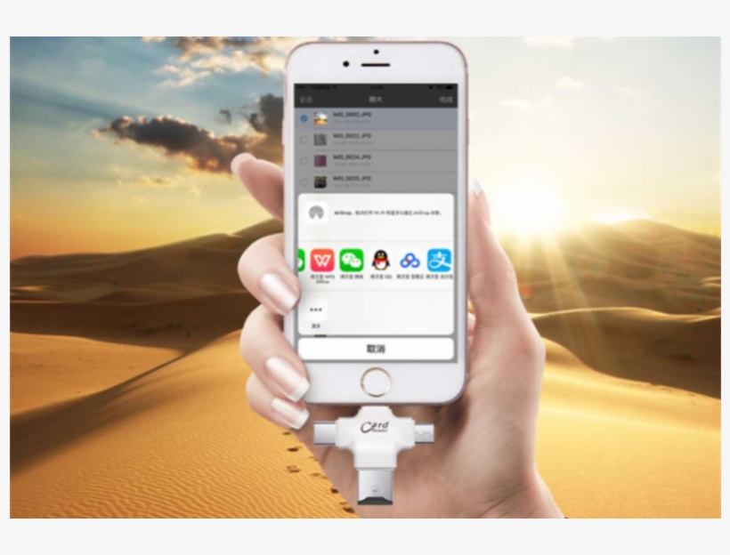 Click Image For Gallery - Desert Sun, transparent png #8386952