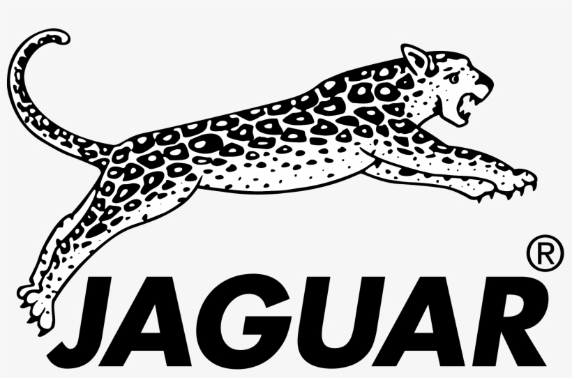 Jaguar Logo Hairdressing - Jaguar Hair Logo, transparent png #8388093