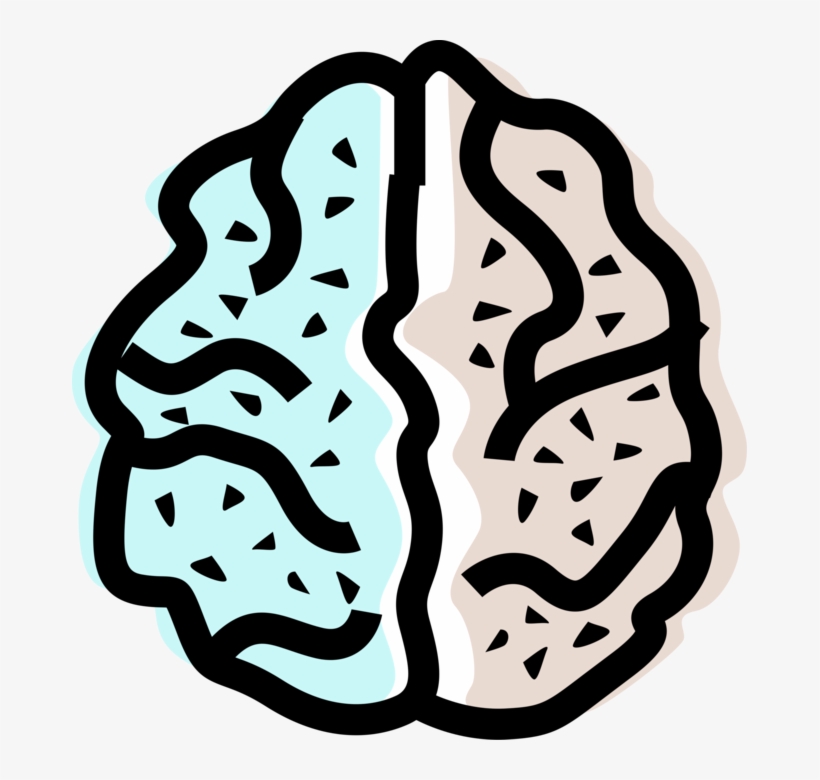 Vector Illustration Of Human Brain Left And Right Hemisphere, transparent png #8392690