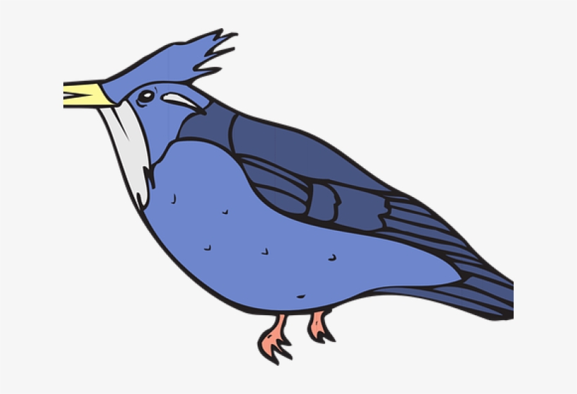 Blue Jay Clipart Bir - Kingfisher Coloring Page, transparent png #8392730