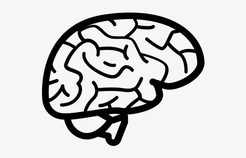 Brain Vector Outline - Logo For Wisdom, transparent png #8393205