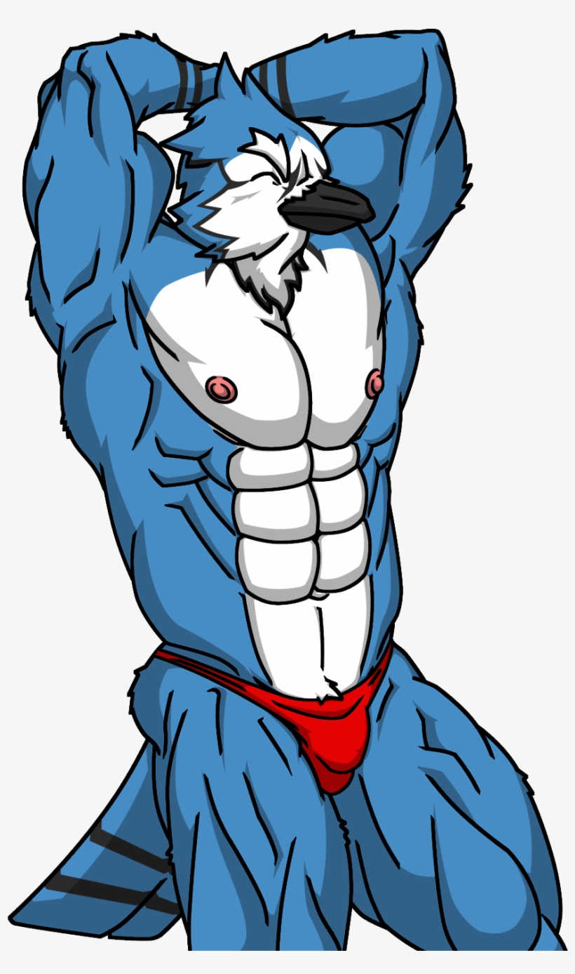 Blue Jay - Illustration, transparent png #8393545