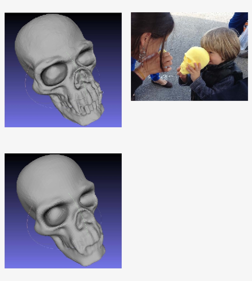 Skull, transparent png #8393587