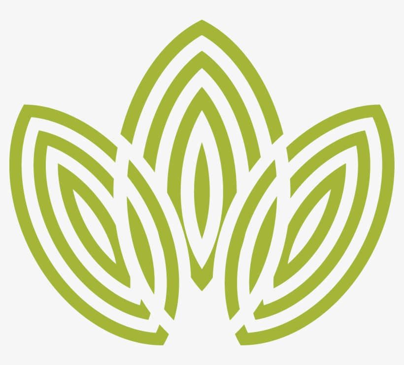 Green Three Leaf Logo - Miranda House Logo, transparent png #8394015
