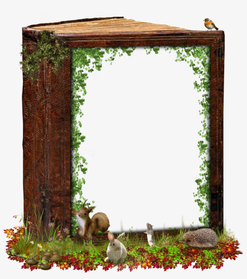 Cadre Nature Png - Cadre Nature, transparent png #8394735