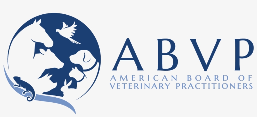 Faq - American Board Of Veterinary Practitioners, transparent png #8395857
