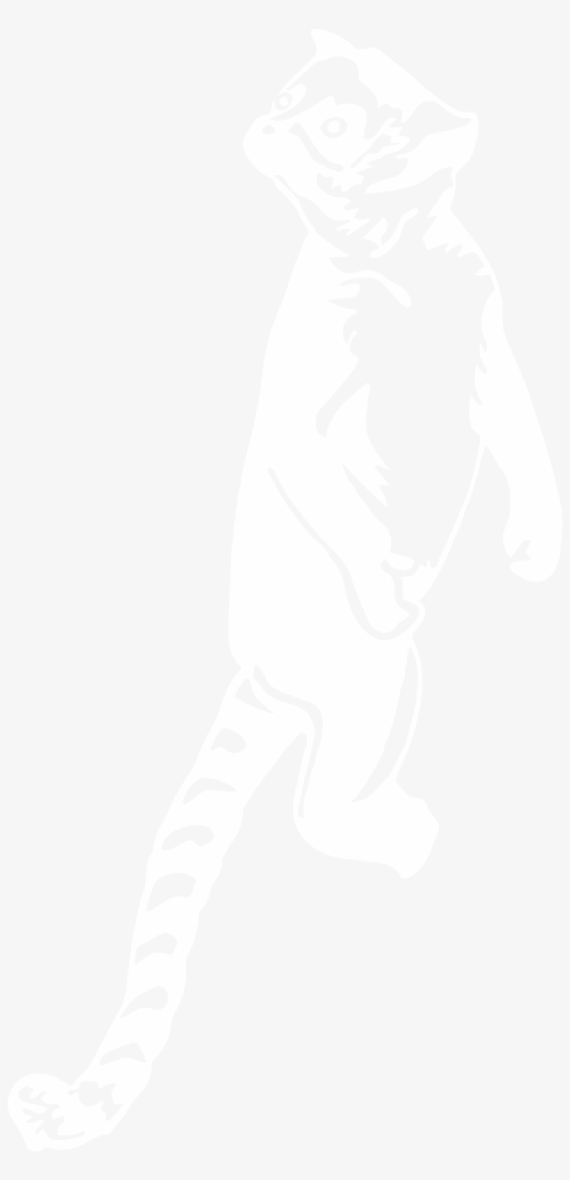 Boca Lemur Logo - Amtrak Logo White, transparent png #8395982