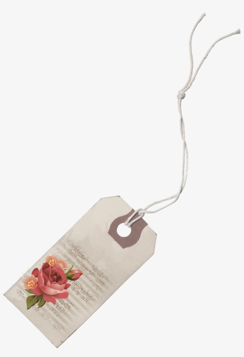 Garden Roses, transparent png #8396014