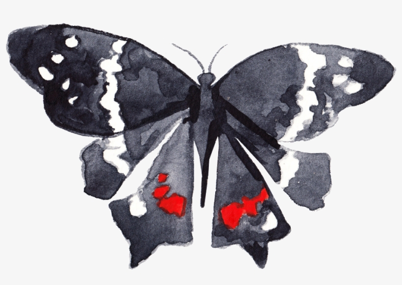 Black Ink Butterfly Transparent Decorative - Papilio, transparent png #8396101