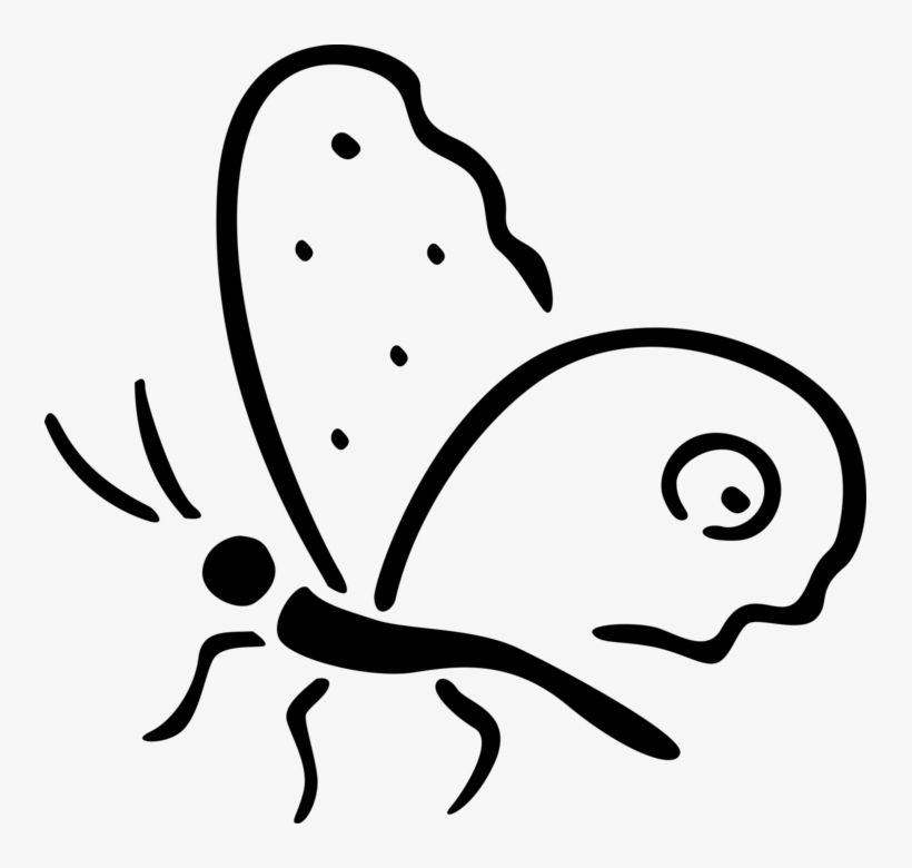 Vector Illustration Of Colorful Butterfly Winged Insect - Line Art, transparent png #8396324