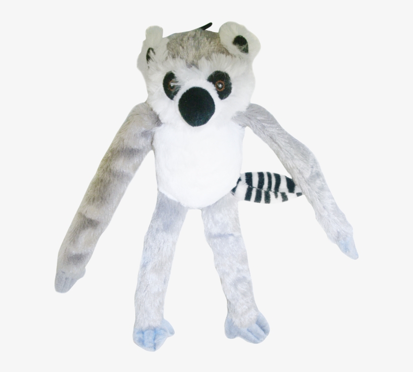 Swinger Lemur - Teddy Bear, transparent png #8396579