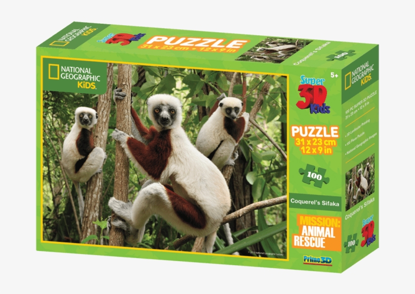 Lemur 3-d Puzzle - Andasibe Feon Ny Ala Hotel, transparent png #8396784