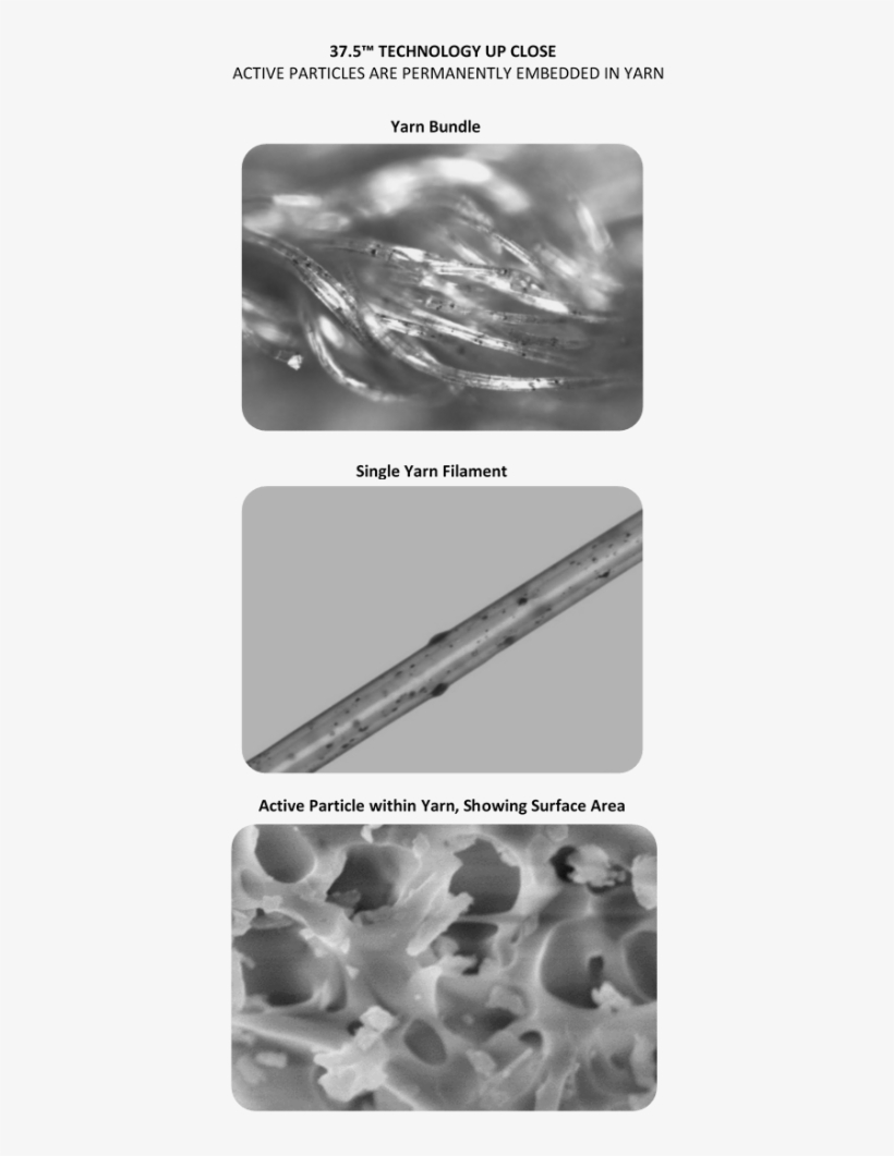 Monochrome, transparent png #8397352