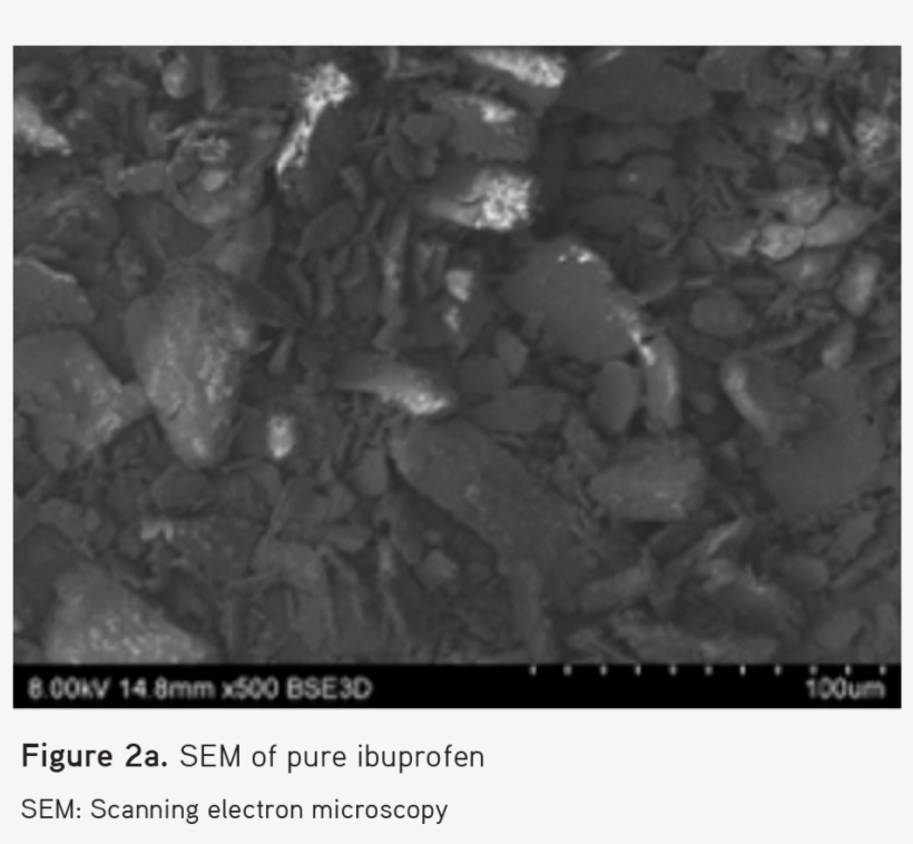 Under High Magnification, It Was Further Observed That - Monochrome, transparent png #8397654