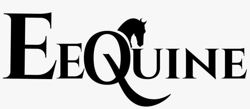 Stallion, transparent png #8399835