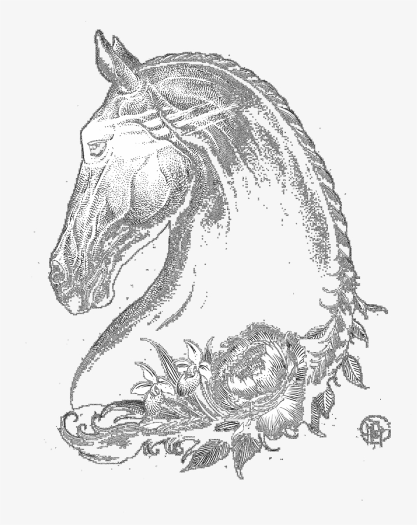 Evil Horse Drawing - Drawing, transparent png #841258