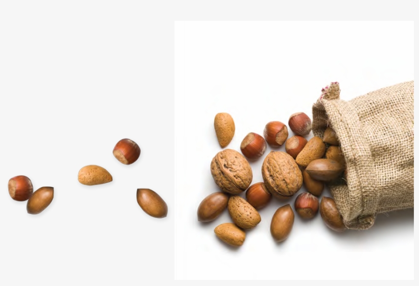 Ingredients For Bread & European Style Bakery Products - Baking, transparent png #841515