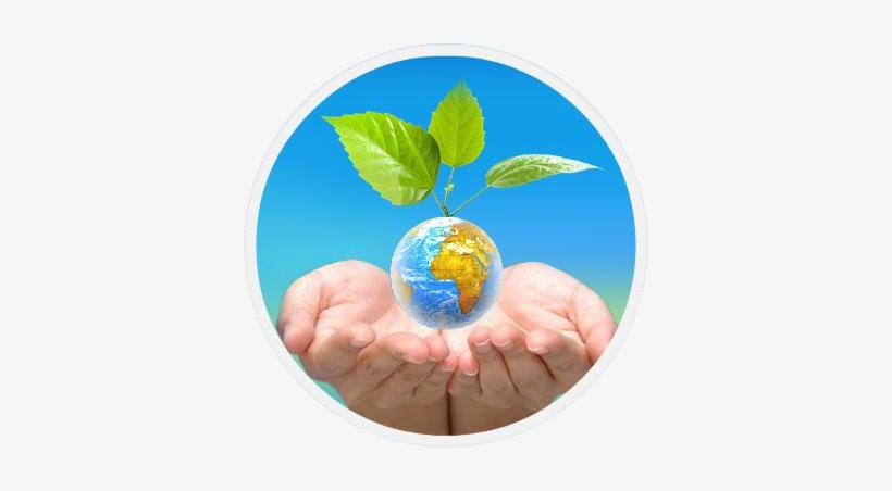 Forgin Casting Rajkot - School, transparent png #842091