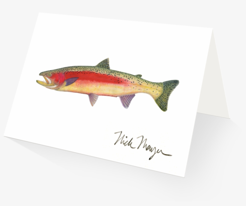 New Zealand Rainbow Trout - Rainbow Trout, transparent png #842202