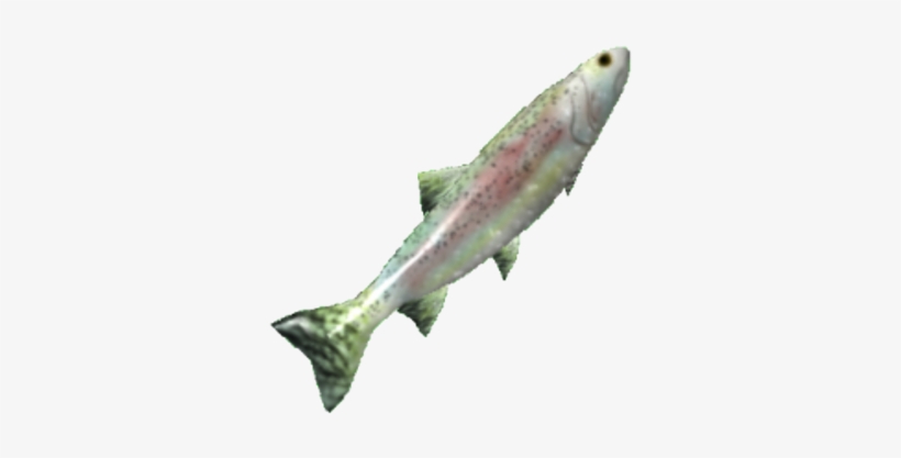 Trout, transparent png #842252