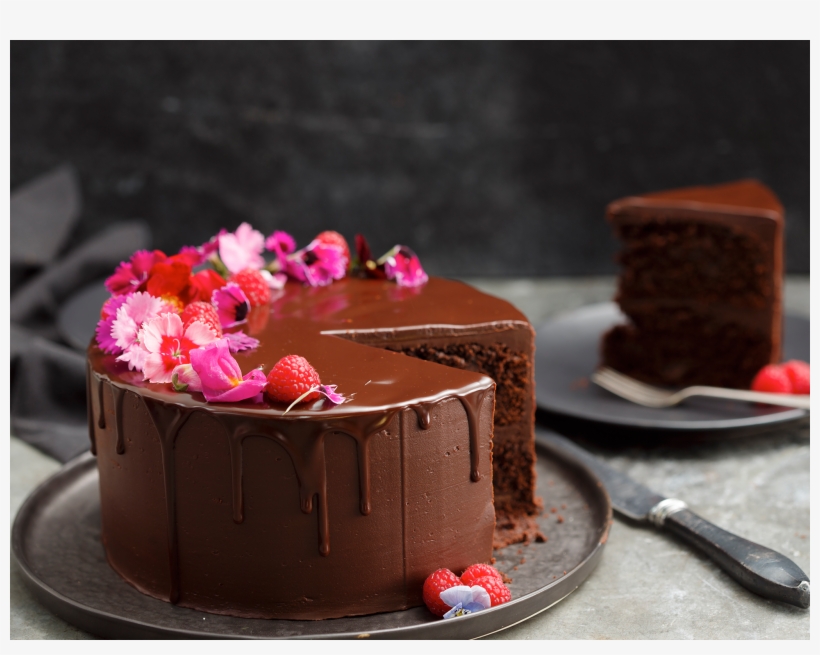 Chocolate Cake With Drizzle, transparent png #842403