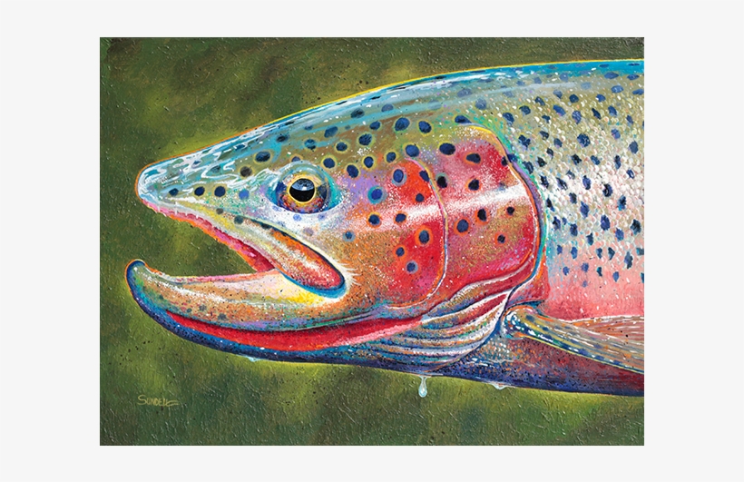 Spring Cutthroat - Trout, transparent png #842489