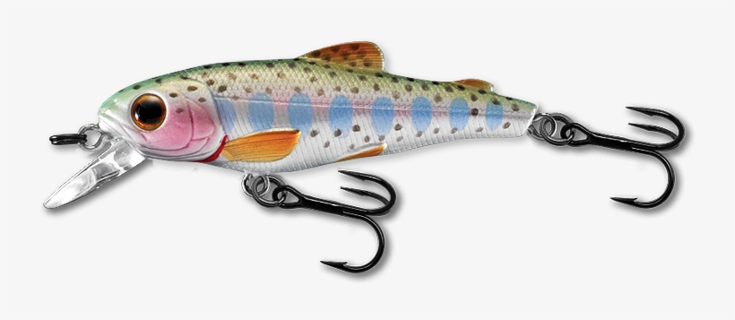 900 Rainbow Trout - Rainbow Trout, transparent png #842509