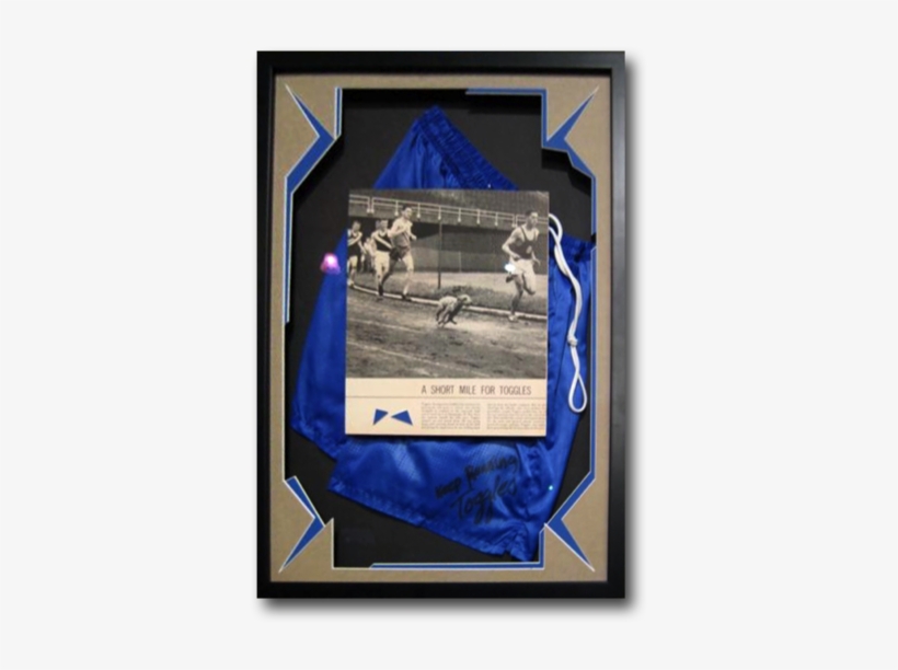 Contained - Picture Frame, transparent png #842863