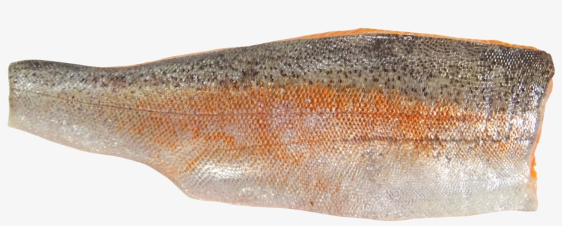 Fillet Fish Food Png - Sea Trout Fillet, transparent png #843133