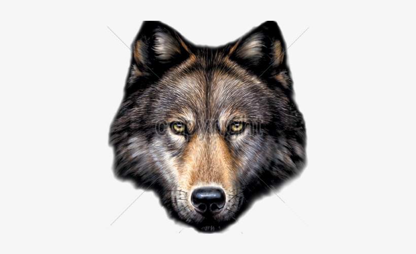 Wolf Head Png - Da Saga Crepusculo Jacob Lobo, transparent png #843134