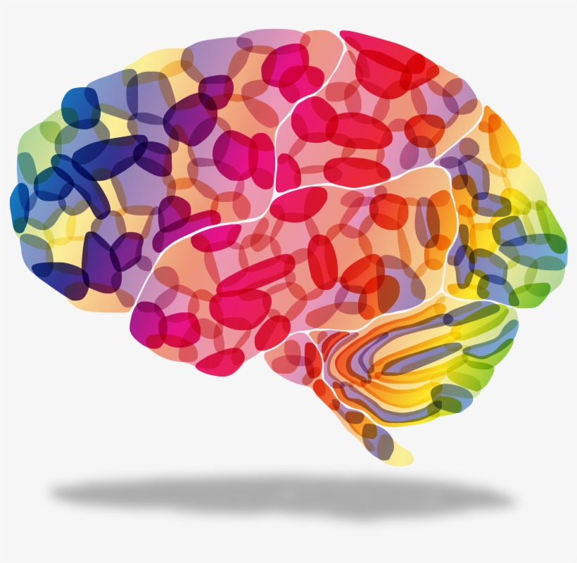 Research And Education Of New Therapies For The Treatment - Colorful Brain Transparent Background, transparent png #843307