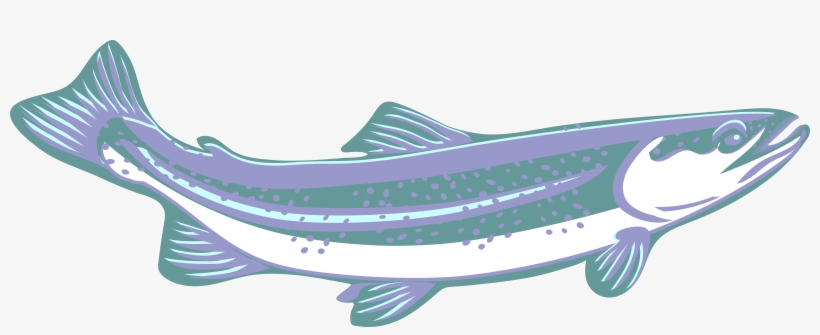 Trout, Clip Art, Purple, Blue, White, Speckled, Curved - Blue, transparent png #843422
