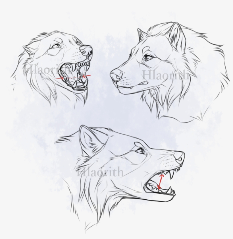 Tokota Faces By Hlaorith - Drawing, transparent png #843576
