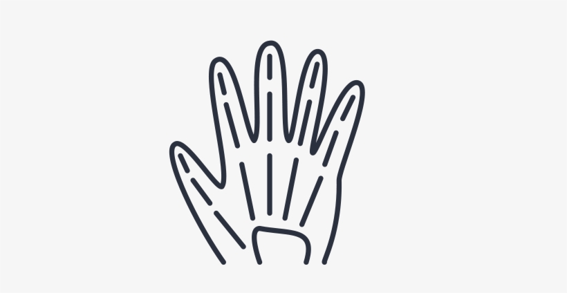 Xray3 - Logo, transparent png #844140