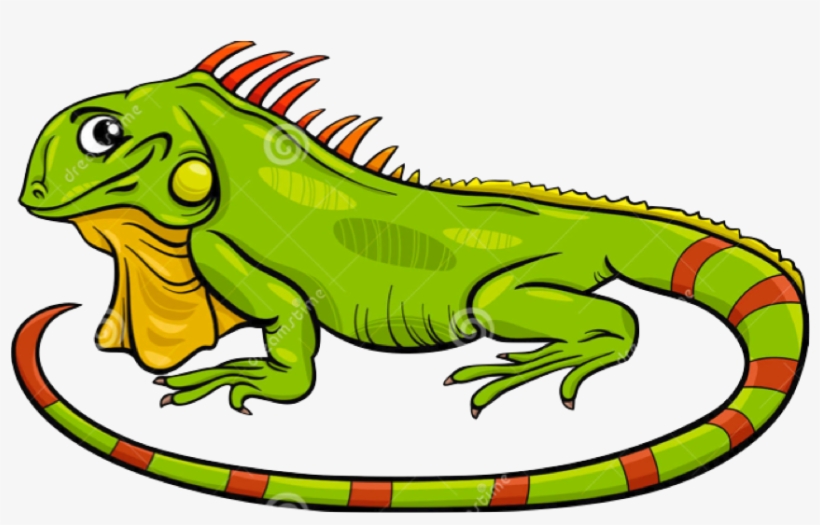 Image Royalty Free Library Green Lizard Free On Dumielauxepices - Iguana Cartoon, transparent png #844795