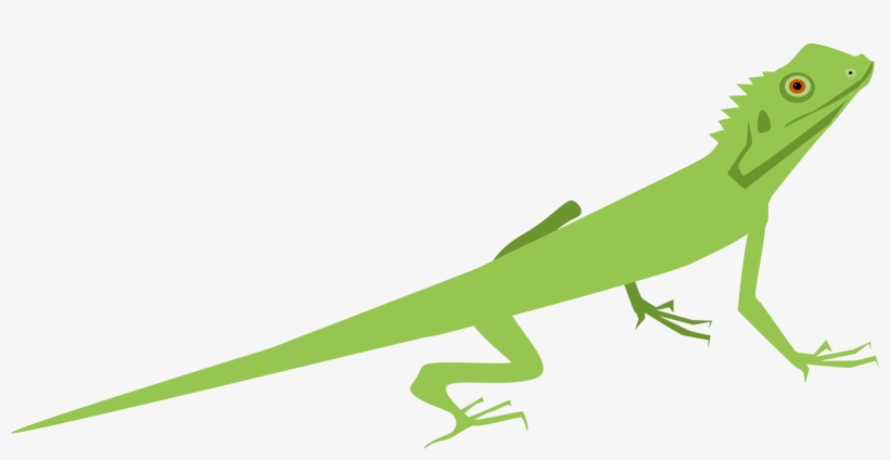 Lizard Common Iguanas Gecko Chameleons Reptile, transparent png #844848