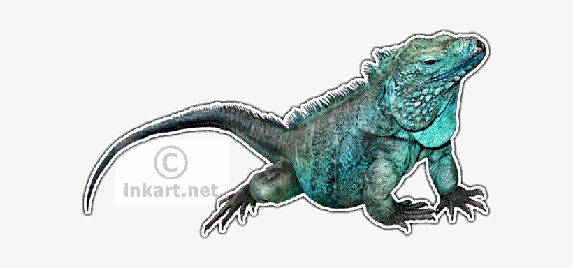 Grand Cayman Blue Iguana Decal - Iguanas Of Madagascar Transparent, transparent png #845033