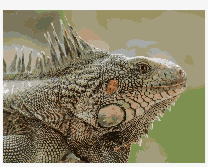 This Free Icons Png Design Of Iguana De Venezuela, transparent png #845072