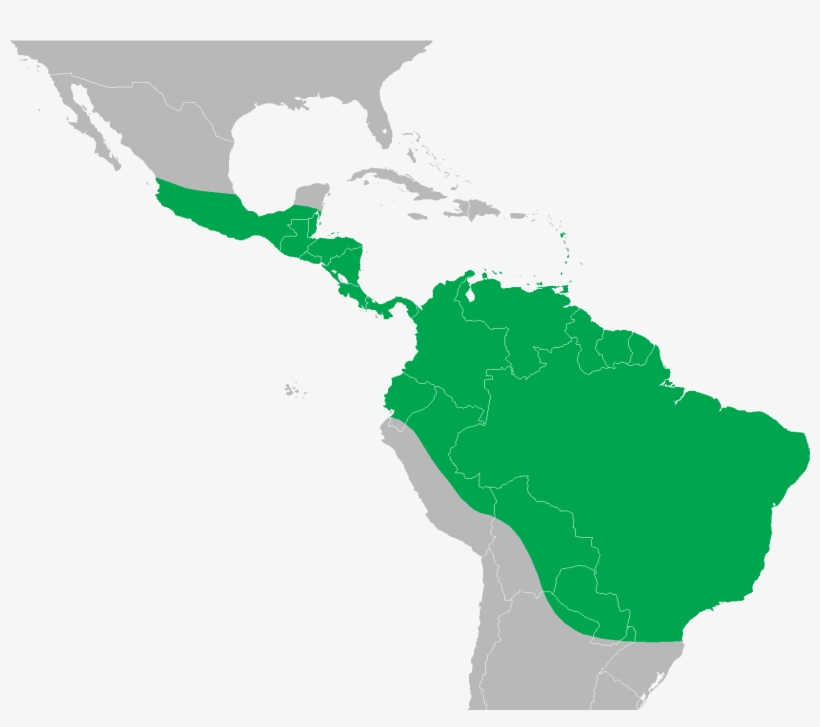 Iguana Iguana Distribution Map - Green Iguana Range Map, transparent png #845247
