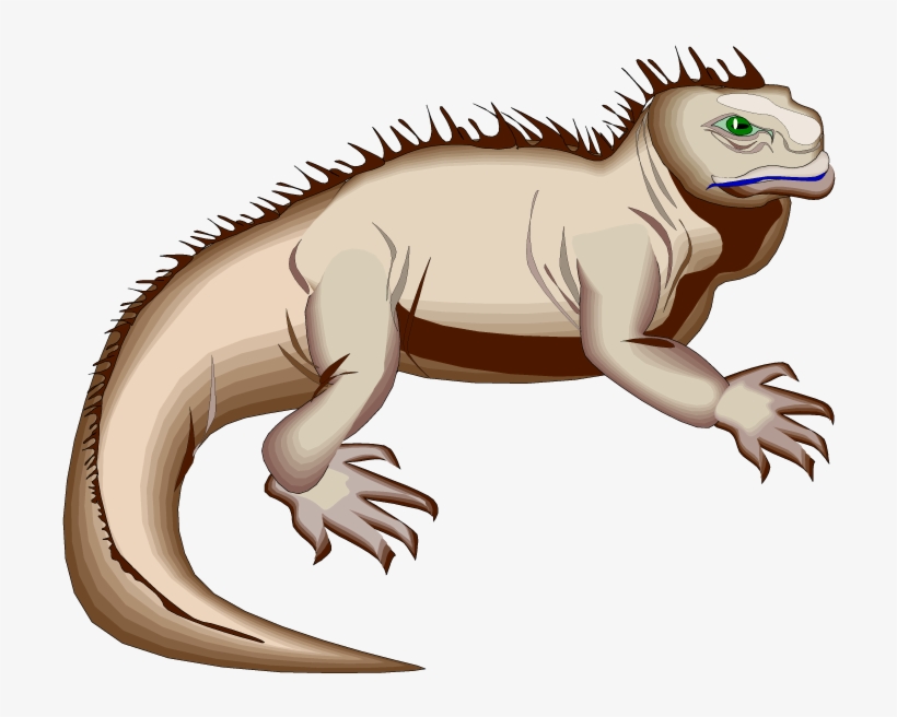 Green Iguana Clipart Hole - Marine Iguana Animated, transparent png #845270