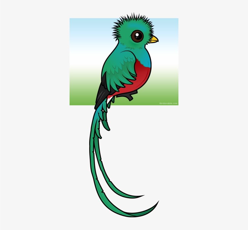 Quetzal Clipart Baby - Clip Art Quetzal, transparent png #845361