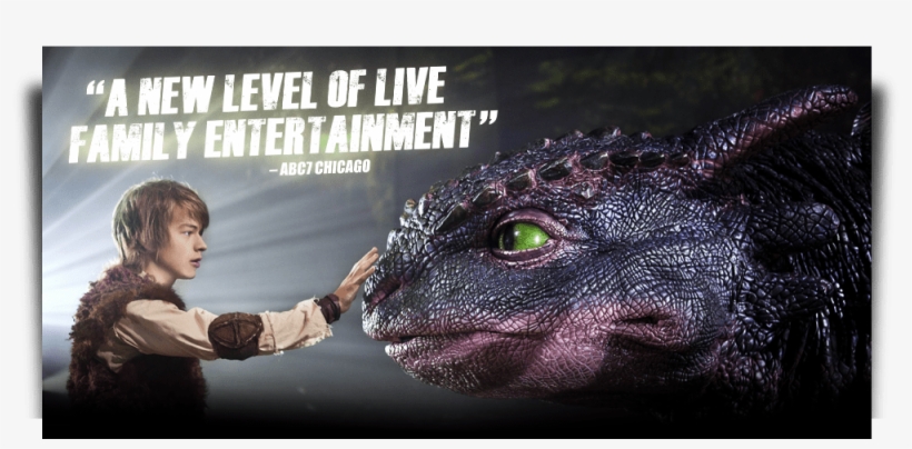 Train Your Dragon 4, transparent png #845564