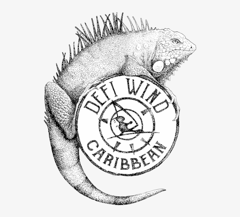 Iguana Bloc010 1 - Defi Wind 2017, transparent png #845582