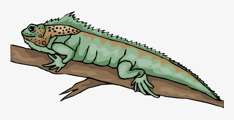 Iguana Clipart - Bearded Dragon Lizard Clipart, transparent png #845672