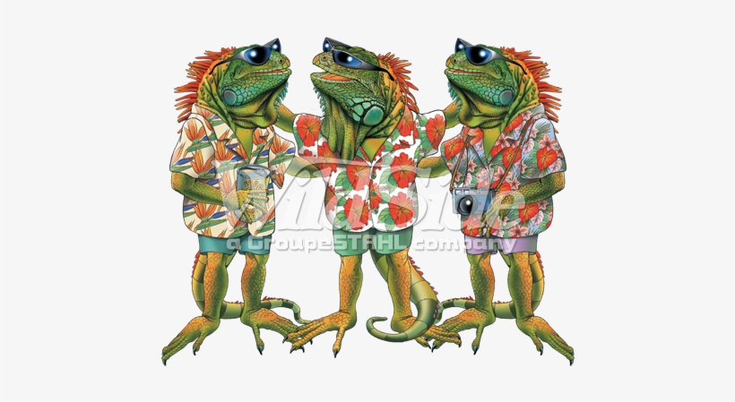 3 Iguanas - Iguana, transparent png #845818
