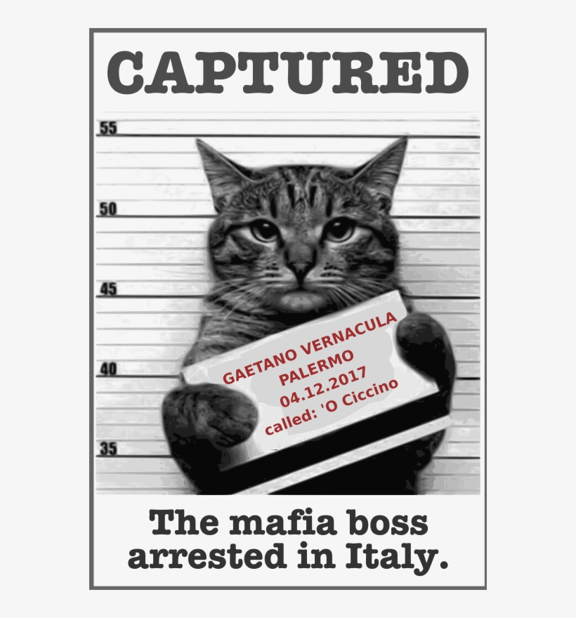 Medium Image - Christmas Cute Animals Funny, transparent png #846953