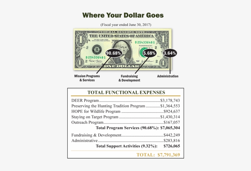 Since Our Beginning In 1982, Whitetails Unlimited Has - Michael2013 Women Polarized Sunglasses Brand Designer, transparent png #847046