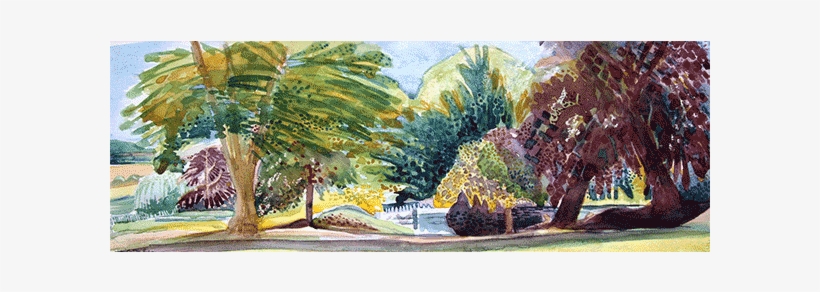 Corner Of An English Country Garden - Attalea Speciosa, transparent png #847935